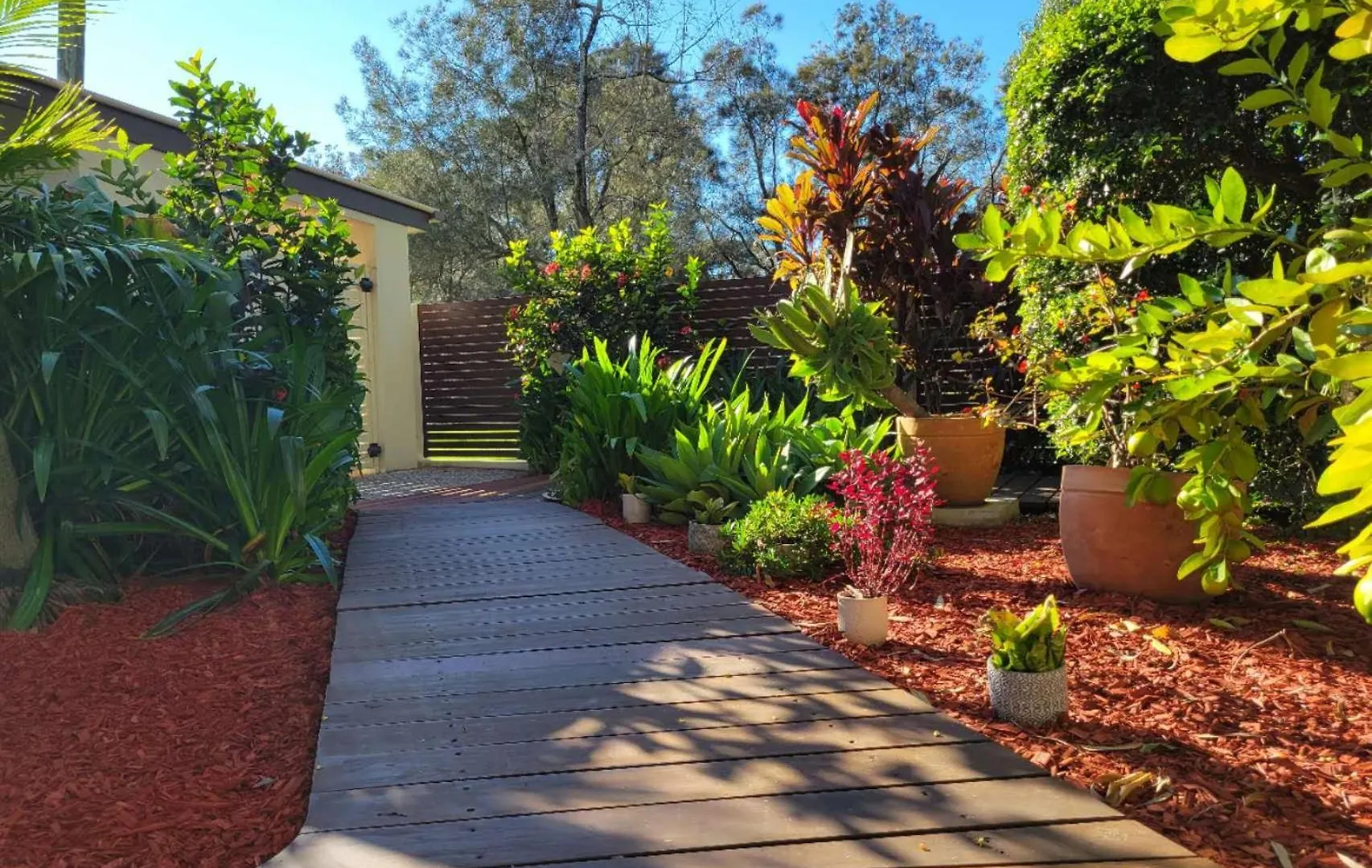 Beachside One Bedroom Flat Retreat Maroochydore